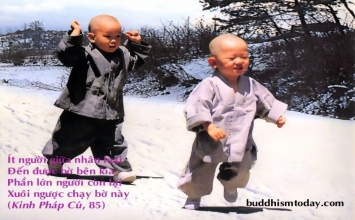 Không có người nào hoàn toàn xấu
